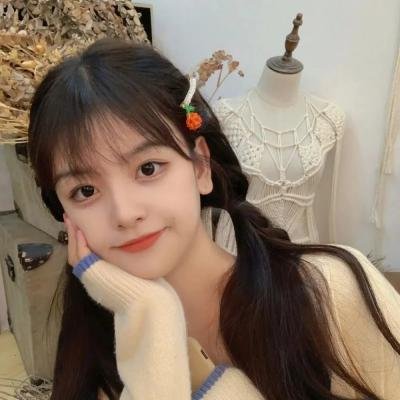 无敌特务之雷朋三世